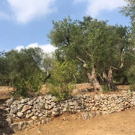 Trullo Degli Ulivi Ferienhaus *